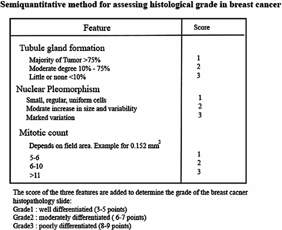 Automated Nuclear Pleomorphism Scoring in Breast Cancer Histopathology ...