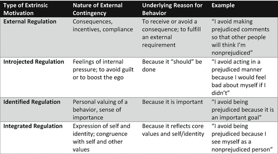 Intrinsic and Extrinsic Motivation | SpringerLink