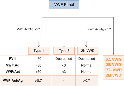 Von Willebrand Disease Laboratory Workup | SpringerLink