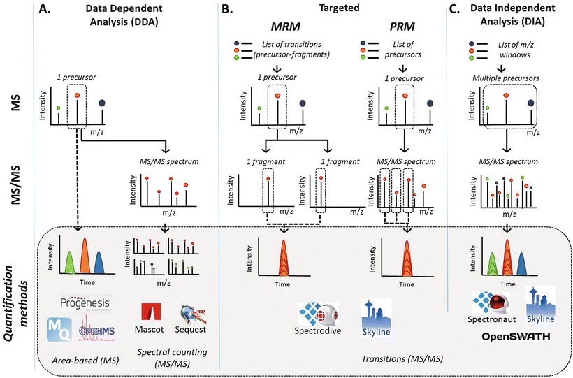 GelFree Proteomics SpringerLink