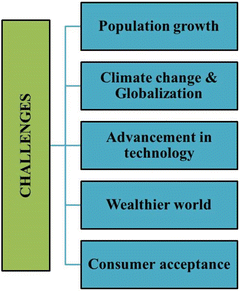 Importance of Food Science and Technology- Way to Future | SpringerLink
