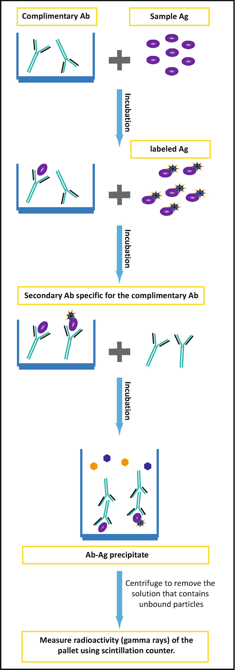 Radioimmunoassay uses picture