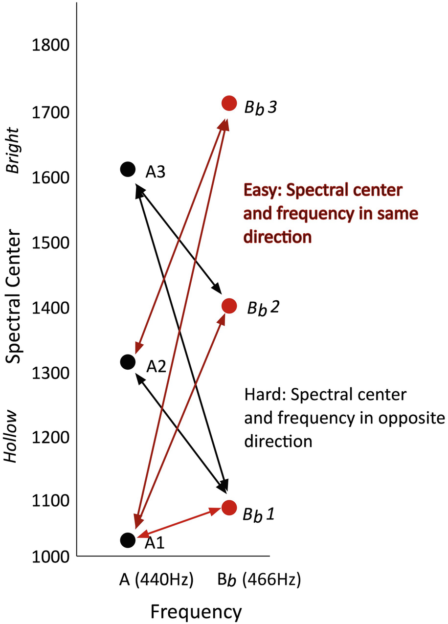 Color, Timbre, and Echoes: How Source-Filter Processes Determine Why We ...