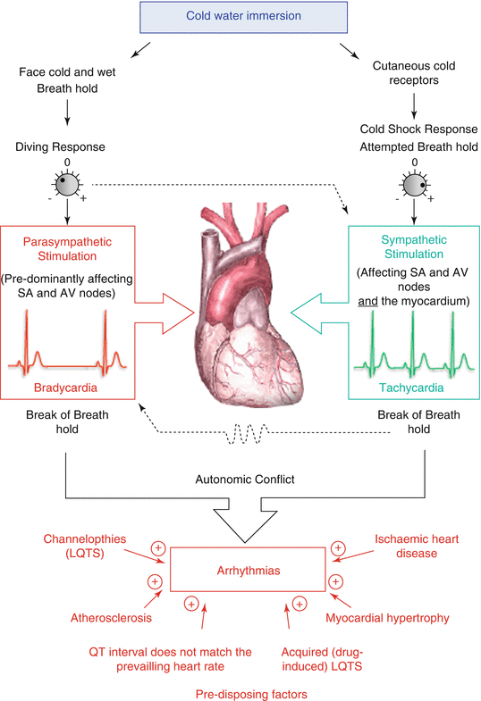 Pathophysiology of Drowning SpringerLink