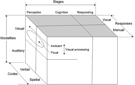 Perceptual and Cognitive Processes in Human Behavior | SpringerLink