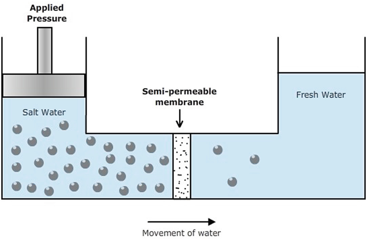 Solution Or Across A Semipermeable Membrane. Simple Diffusion Is Carried Out By The Actions Of Hydrogen Bonds Forming Between Water Molecules An / Solution Or Across A Semipermeable Membrane. Simple ... / Simple diffusion is carried out by the actions of hydrogen bonds forming between water molecules an / solution or across a semipermeable membrane.