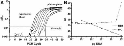 DNA Extraction and Quantitation of Forensic Samples Using the Phenol ...