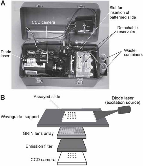 An Array Biosensor for Detection of Bacterial and Toxic Contaminants of ...