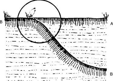 Saprolite, Regolith and Soil | SpringerLink