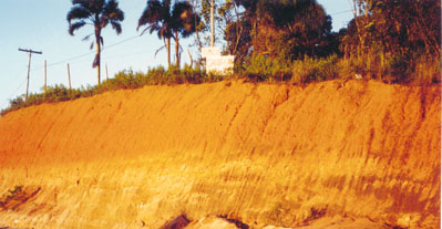 Tropical Soils Springerlink