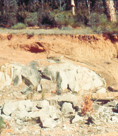 Tropical Soils Springerlink