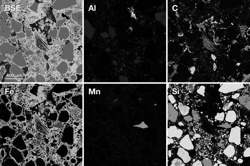 Scanning Electron Microscopy Sem Springerlink