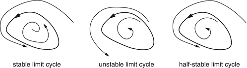 Limit Cycle Springerlink