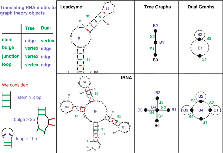 Rna Structure Analysis And Design Graph Theory Springerlink