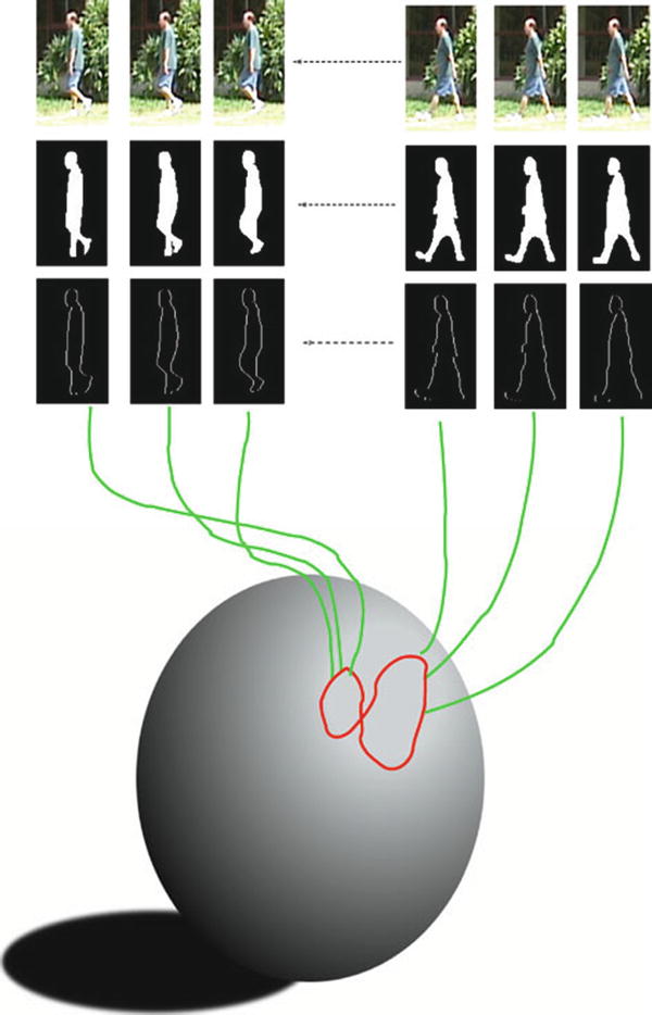Gait Biometrics, Overview SpringerLink
