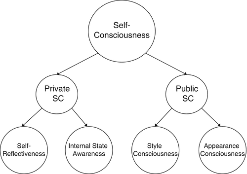 Self Consciousness Springerlink Self Consciousness Springerlink