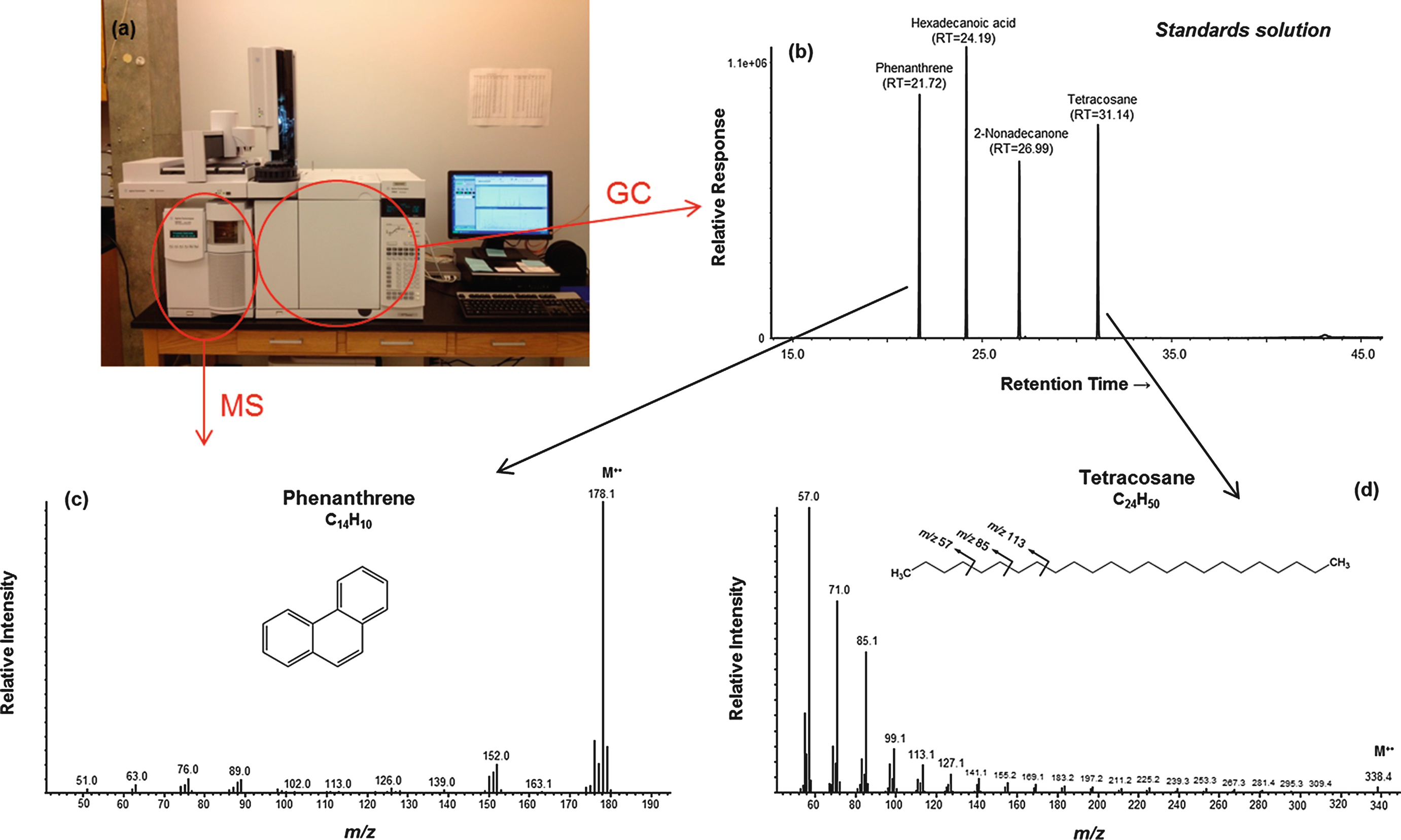 Gas Chromatography–Mass Spectrometry (GC–MS) | SpringerLink