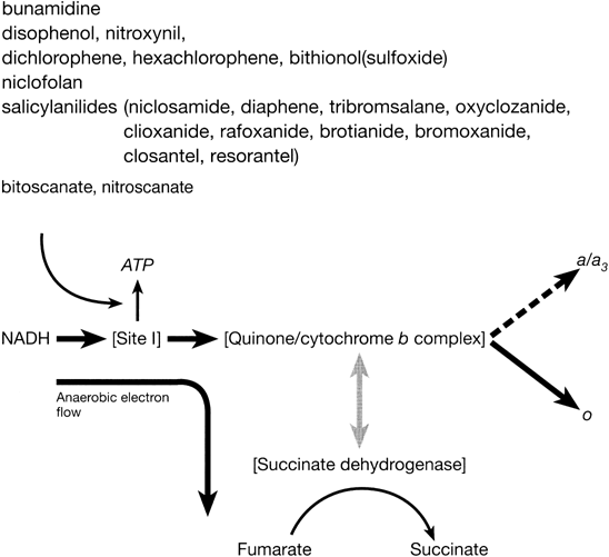Energy Metabolism Disturbing Drugs Springerlink