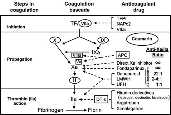 Anticoagulants Springerlink