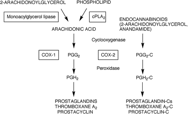 Propionic Acid Derivative Drugs Profens Springerlink
