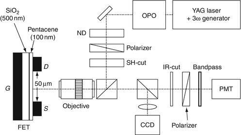 Maxwell–Wagner Effect | SpringerLink