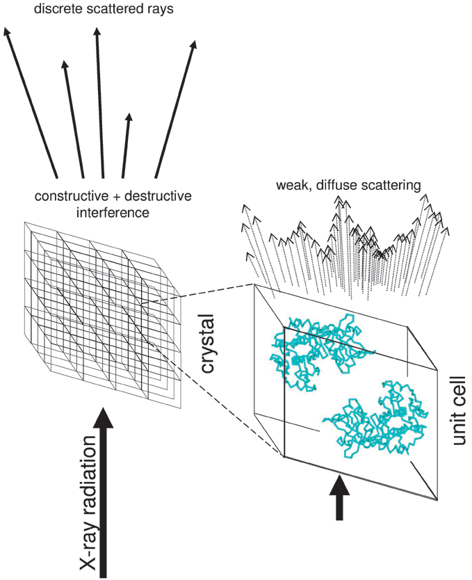 XRay Crystallography, Basic Principles SpringerLink