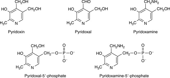 Vitamin B6 SpringerLink