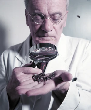 Karl von Frisch