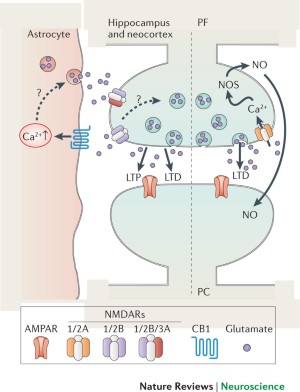 ghk-cu subcutaneous injection ghk-cu peptide typical dosage subcutaneous injection GHK-CU Peptide Dosage  Chart: Complete Reference Tables for Every Protocol