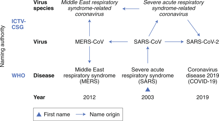 The Species Severe Acute Respiratory Syndrome Related Coronavirus Classifying 19 Ncov And Naming It Sars Cov 2 Nature Microbiology