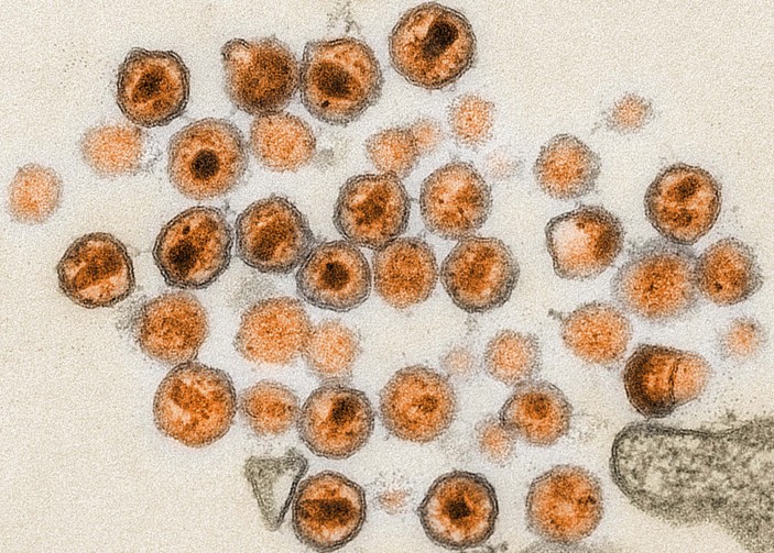 Sleeper Cells Nature Medicine