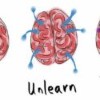 The new protein on the learning and memory scene: Sirtuin 6