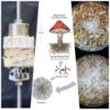 Connecting materials science with fungal biology: A personal insight