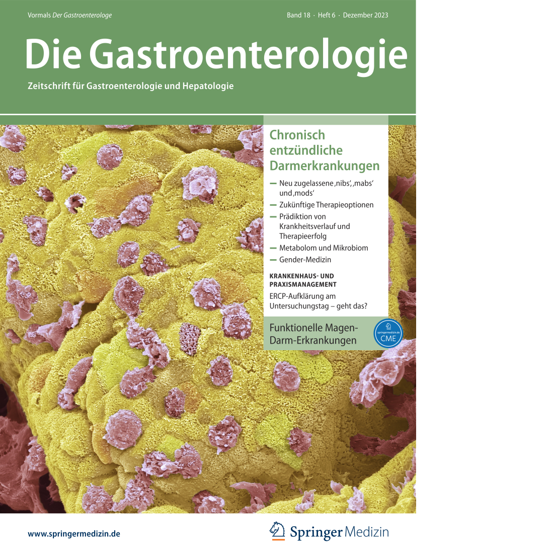 Die Gastroentorologie