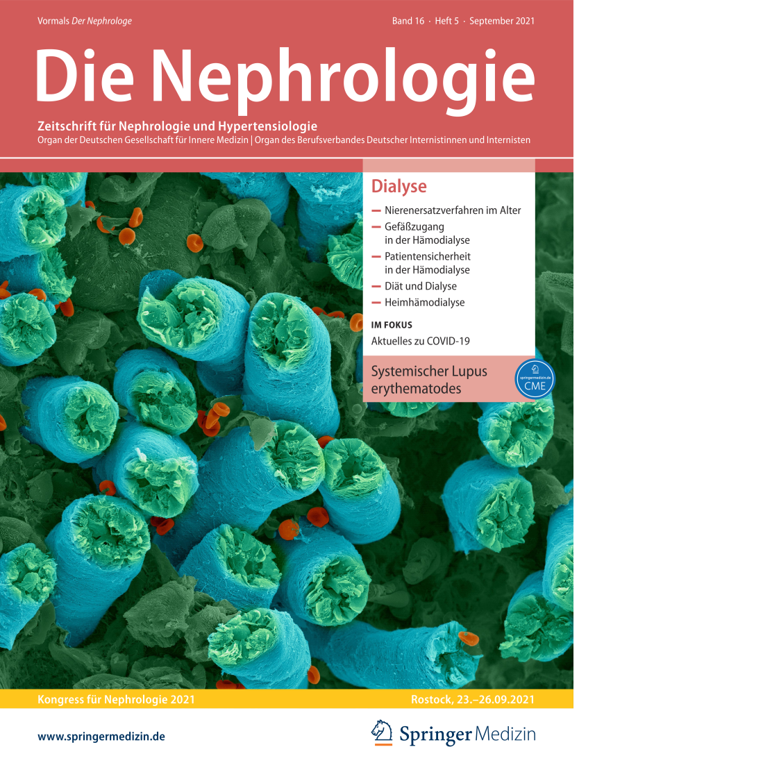 Die Nephrologie