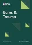 Articles | Burns & Trauma - BioMed Central