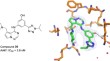 medicinal chemistry research