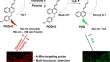 analytical chemistry research papers