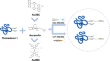 analytical chemistry research papers