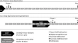 brain research paper brain research paper