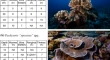 coral reef research articles