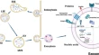 neurology research articles