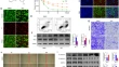 cancer research paper cancer research paper