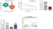 genetics and molecular research genetics and molecular research