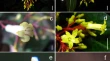 research paper on plant biology research paper on plant biology