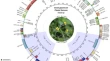 research paper on plant biology research paper on plant biology