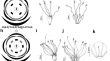 research paper on plant biology research paper on plant biology