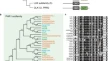 plant biology research