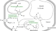 research paper on plant biology research paper on plant biology