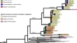 research paper on plant biology research paper on plant biology